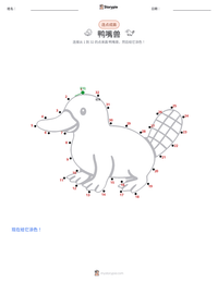 鸭嘴兽 可打印工作表预览