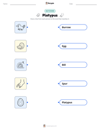 Platypus printable worksheet preview