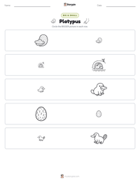 Platypus printable worksheet preview