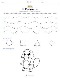 Platypus printable worksheet preview
