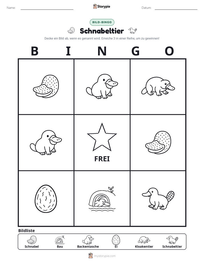 Bild-Bingo