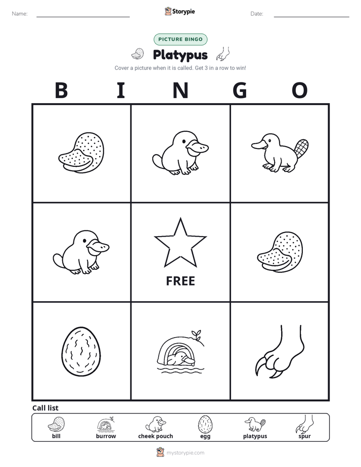 Picture Bingo
