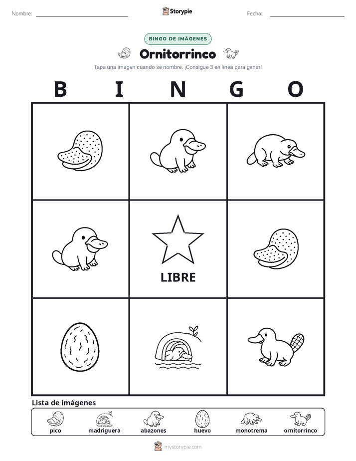Bingo de Imágenes