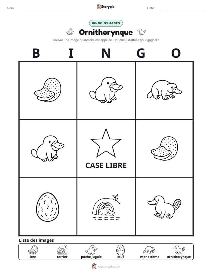 Bingo d'Images