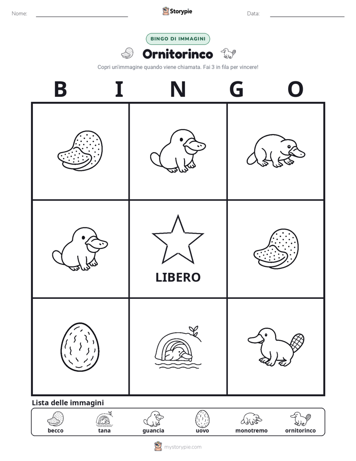 Bingo delle Immagini