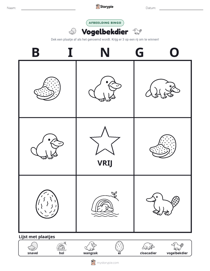 Afbeelding Bingo