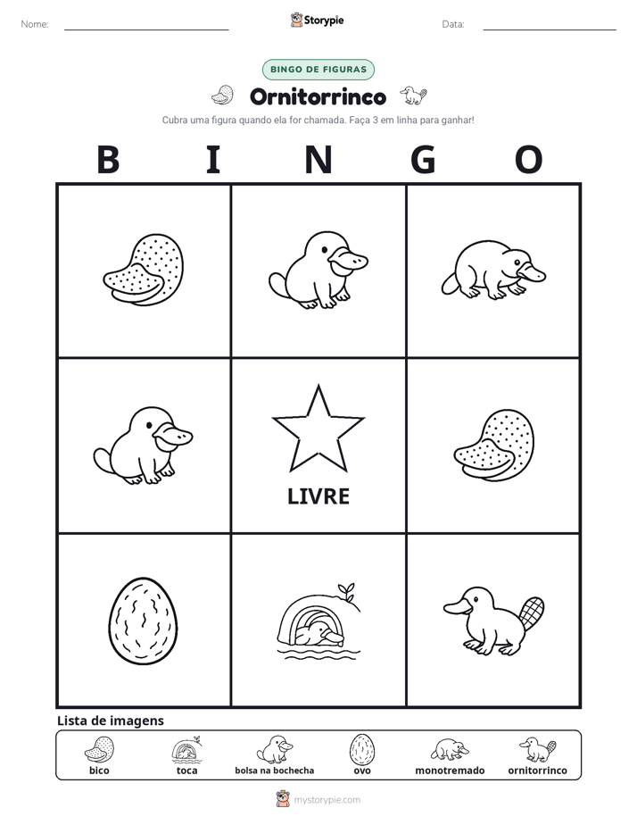 Bingo de Imagens