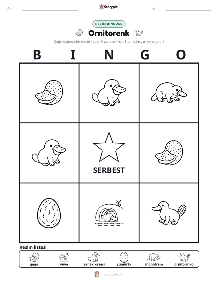 Resim Bingo
