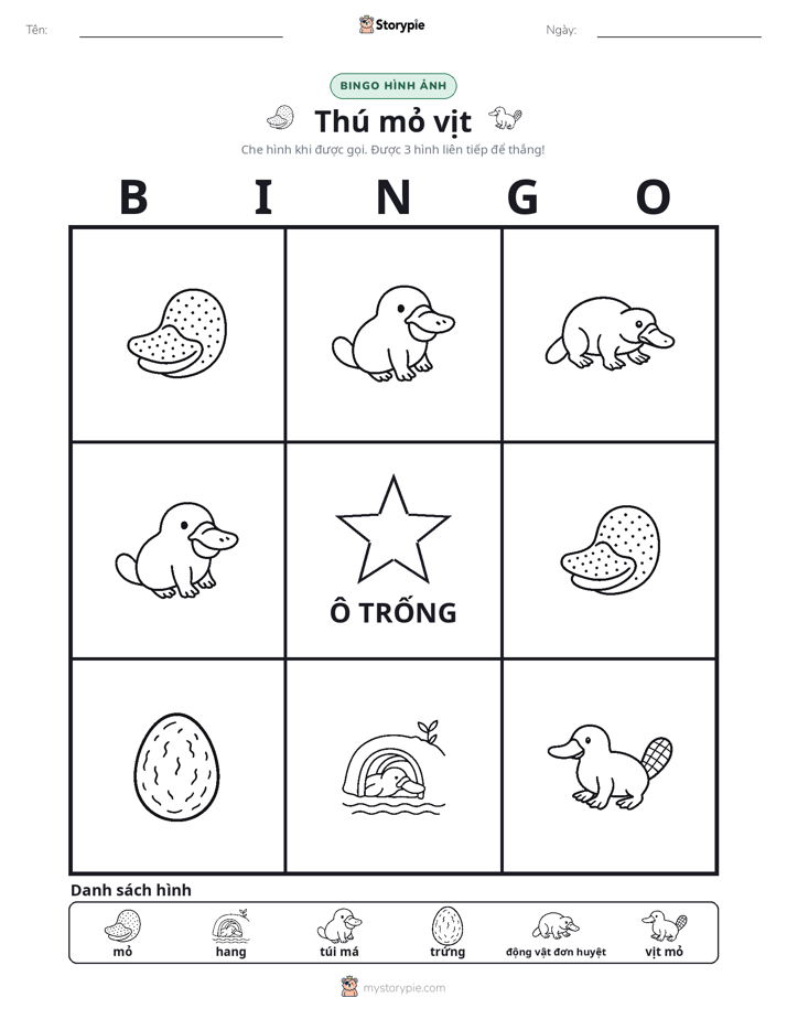 Bingo Hình Ảnh