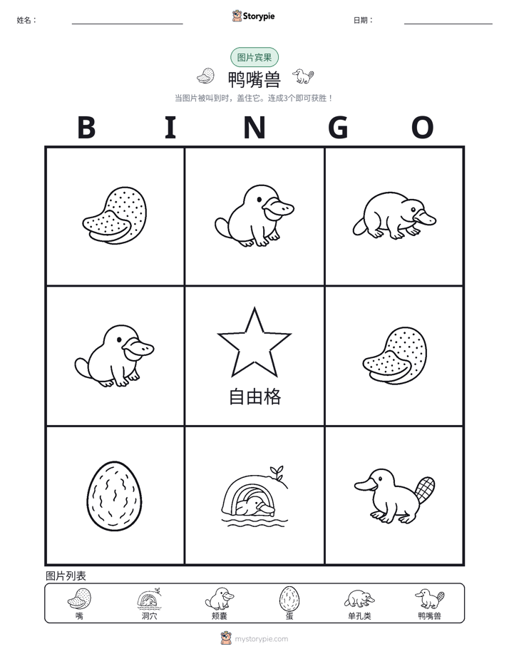 图片宾果