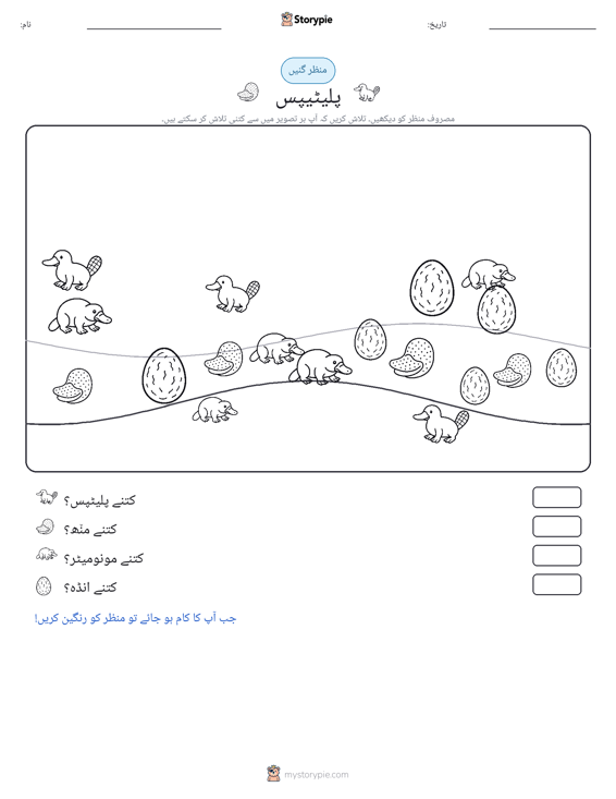 گنتی کا منظر
