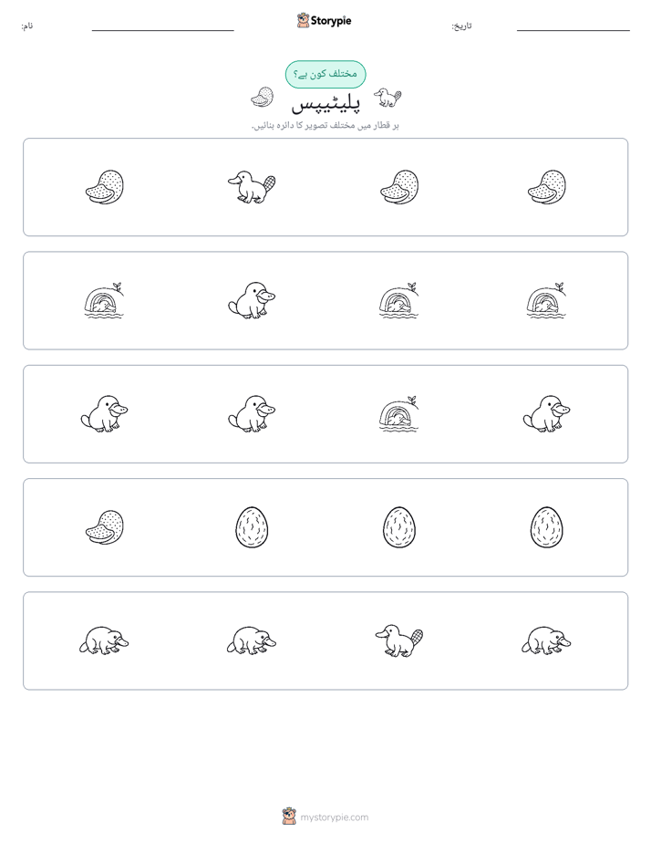 عجیب ایک