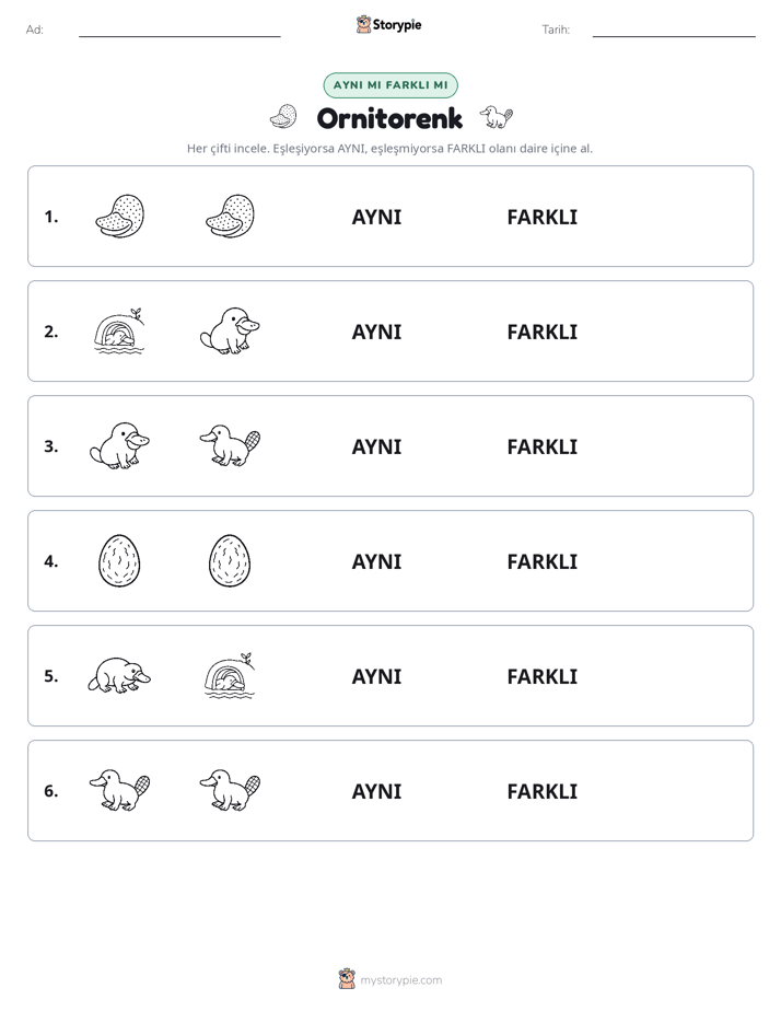 Aynı mı Farklı mı