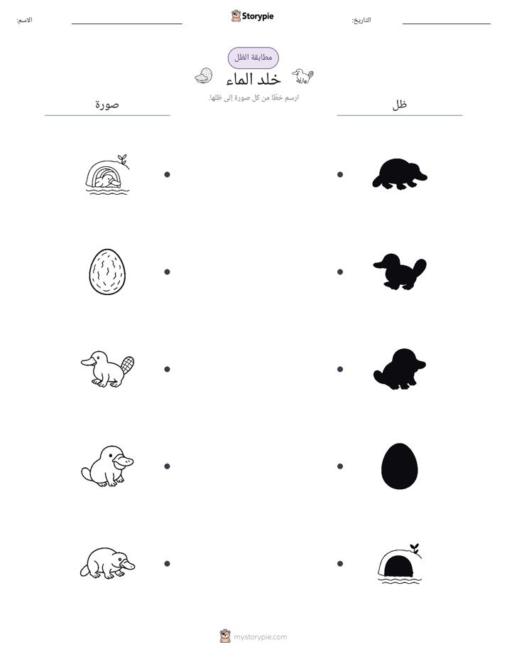 مطابقة الظل