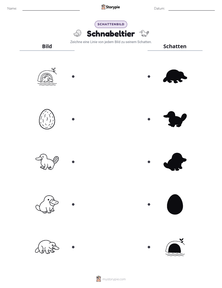 Schattenmatch