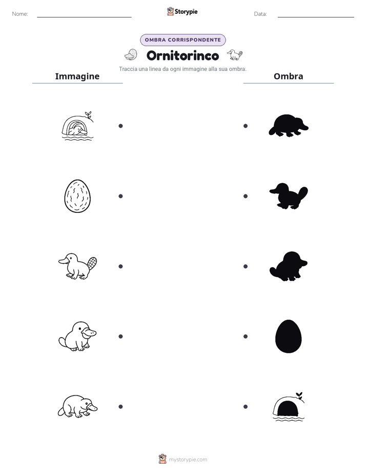 Corrispondenza Ombra