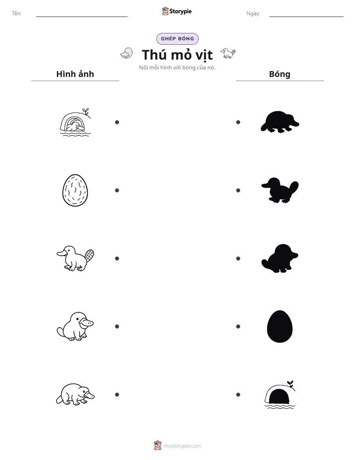 Ghép Hình Bóng