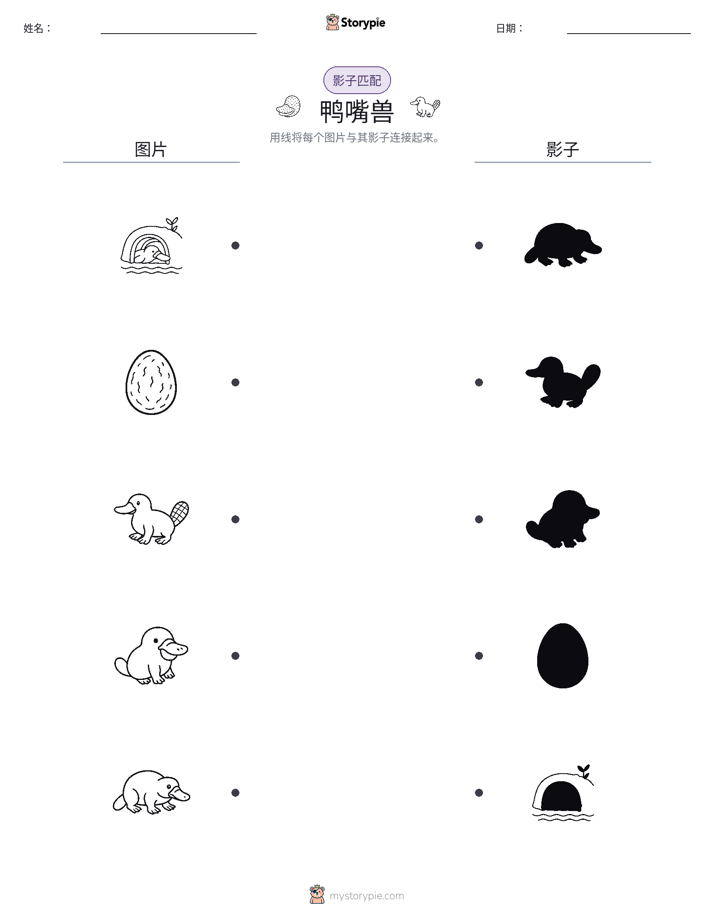 影子匹配