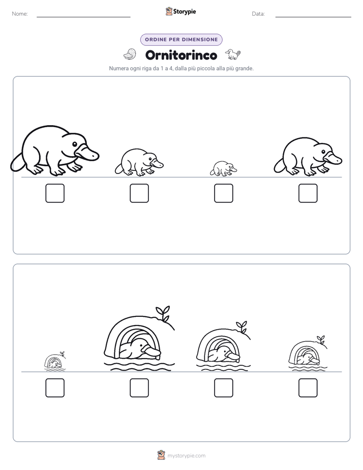 Ordine di Dimensione