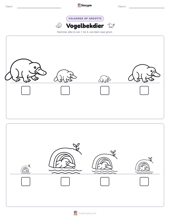 Grootte Volgorde