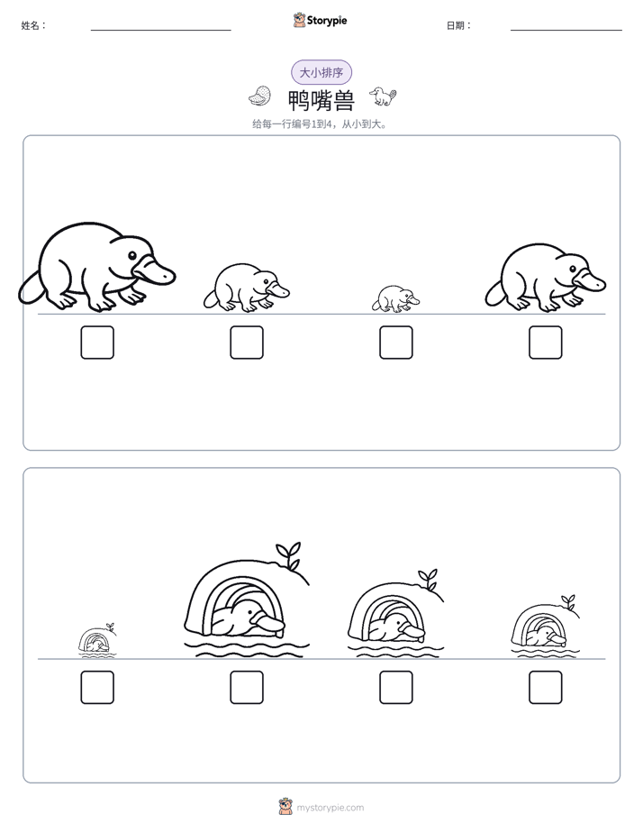 大小排序