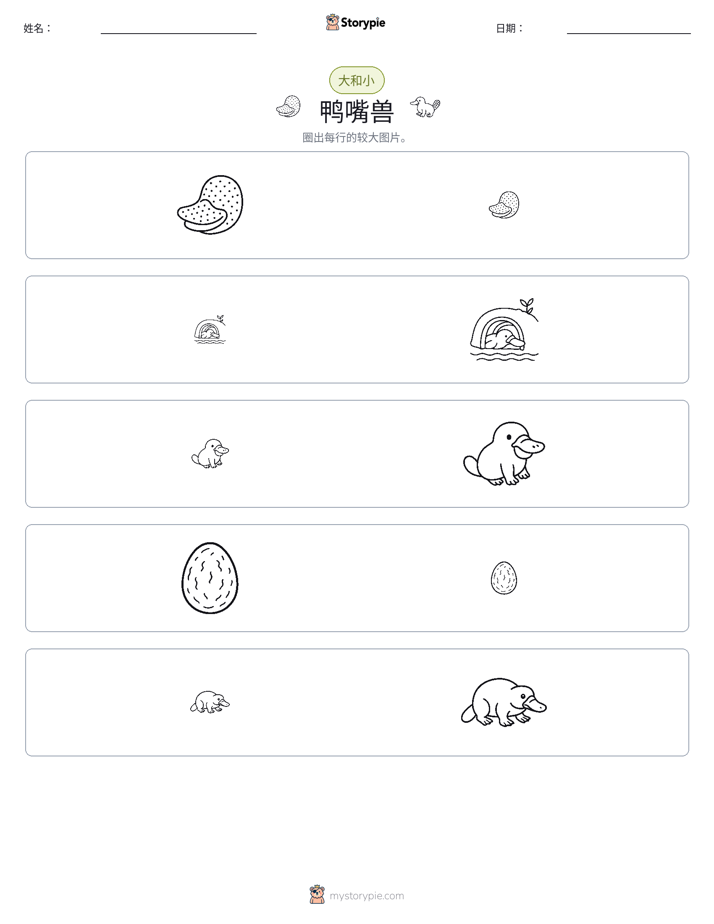 分类