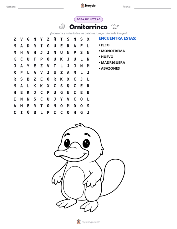 Sopa de Letras