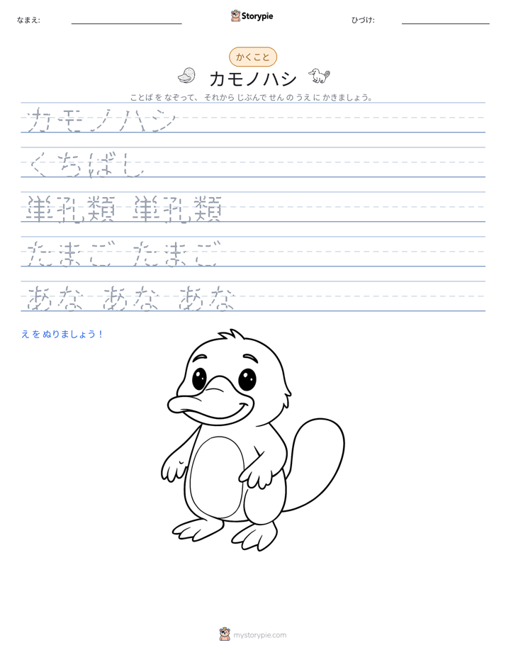 書き取り練習