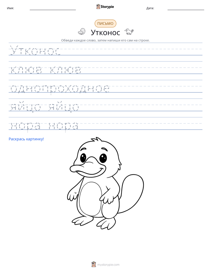 Практика письма