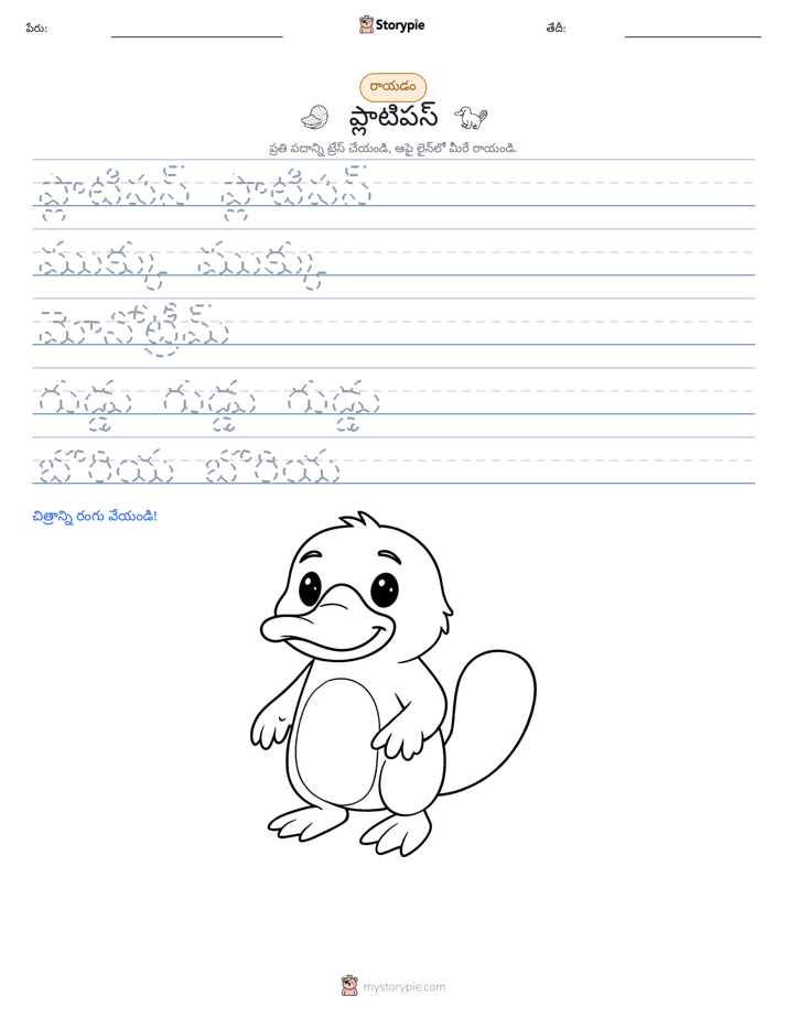 రాయడం సాధన