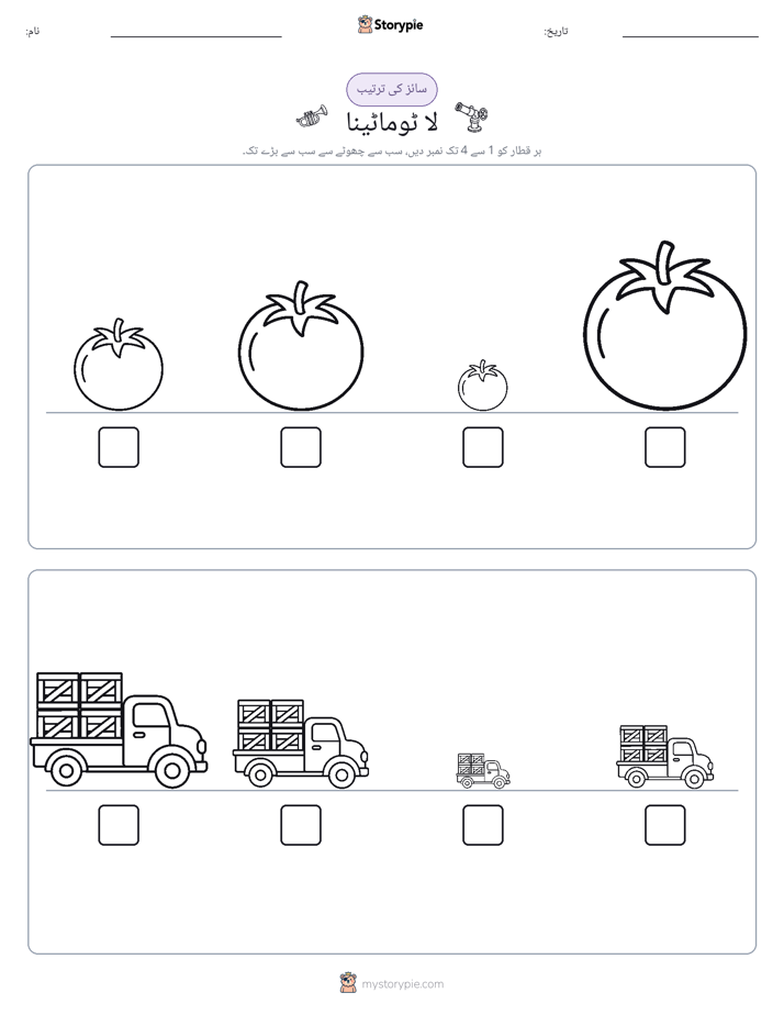 سائز کی ترتیب