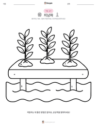 치남파 인쇄 가능한 워크시트 미리보기