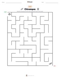 Chinampas printable worksheet preview
