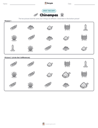 Chinampas printable worksheet preview