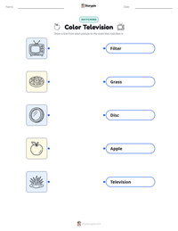 Color Television printable worksheet preview