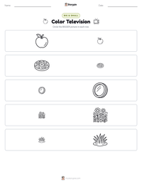 Color Television printable worksheet preview