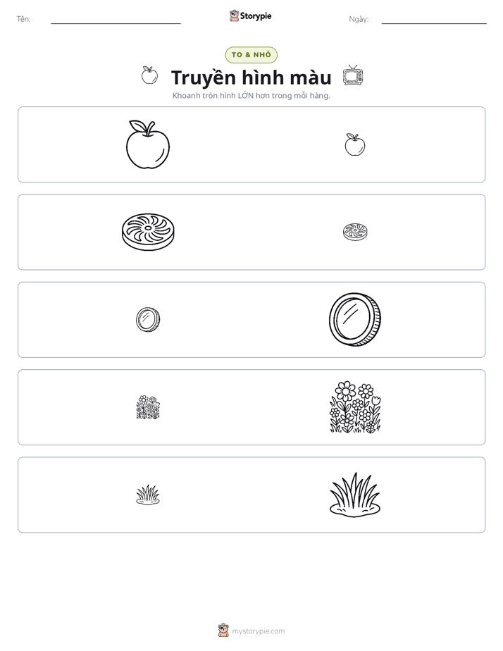 Phân Loại