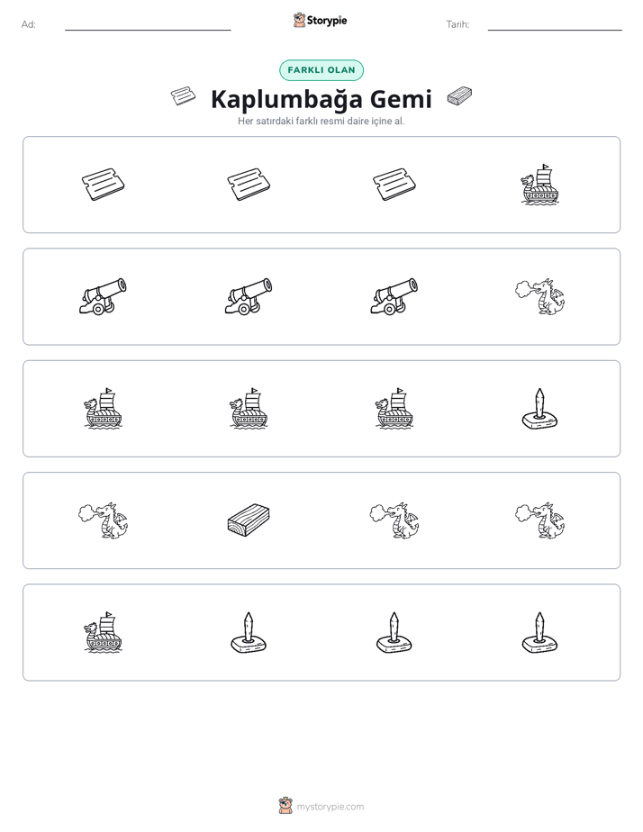Farklı Olanı Bul
