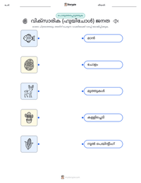 വിക്സാരിക (ഹുയിചോൾ) ജനത പ്രിന്റ് ചെയ്യാവുന്ന വർക്ക്‌ഷീറ്റ് മുൻകൂർ കാഴ്ച