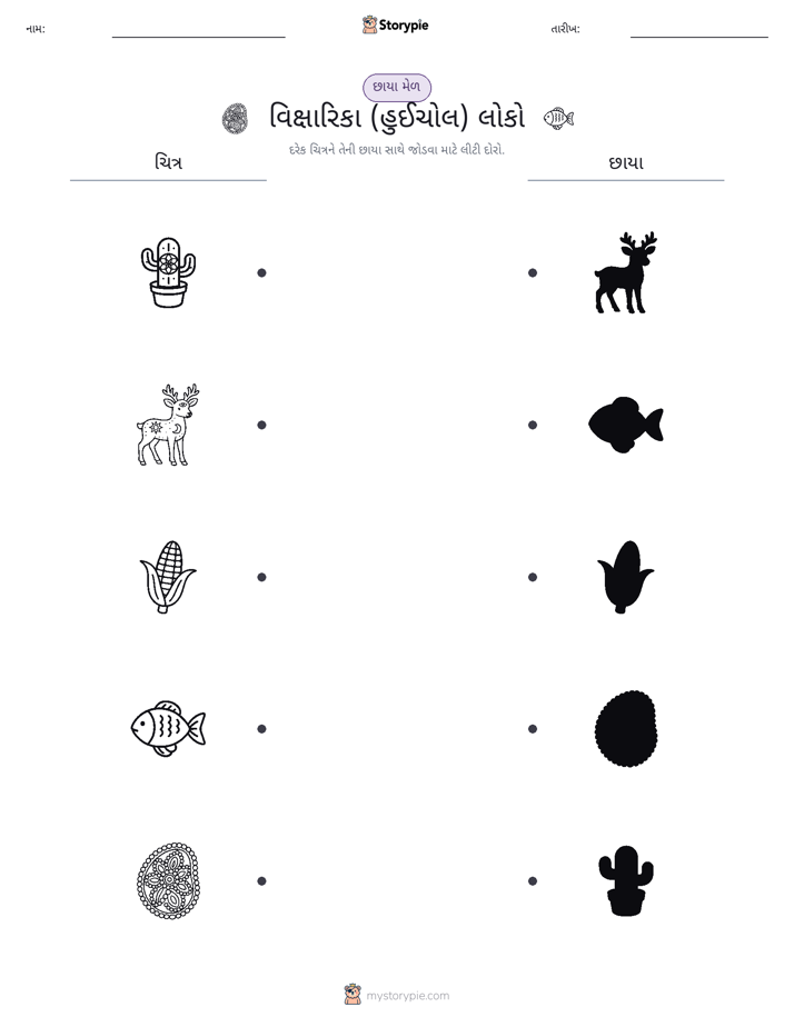 શેડો મેચ
