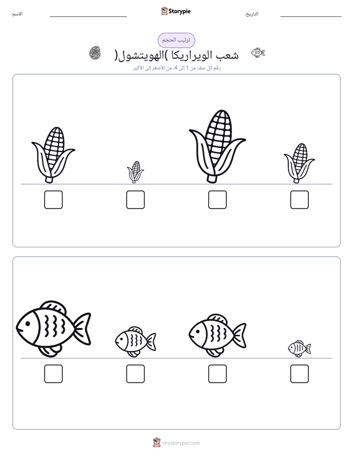 ترتيب الحجم