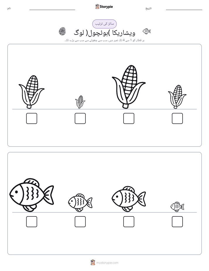 سائز کی ترتیب