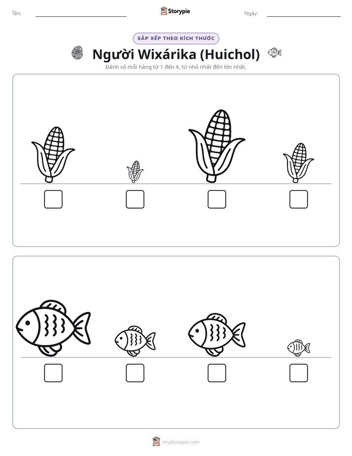 Thứ Tự Kích Thước