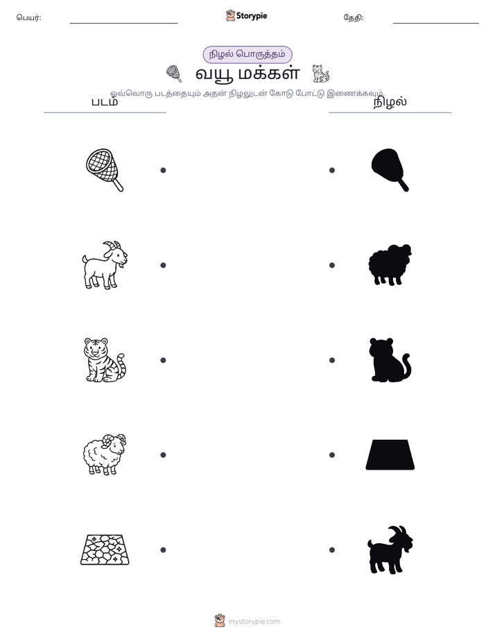 நிழல் பொருத்தம்