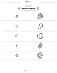 Nazca Culture printable worksheet preview