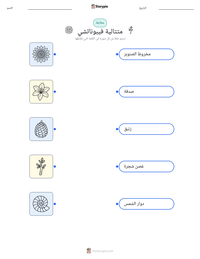 معاينة ورقة العمل القابلة للطباعة متتالية فيبوناتشي