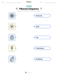 Fibonacci Sequence printable worksheet preview