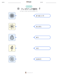 フィボナッチ数列 の印刷可能ワークシートプレビュー