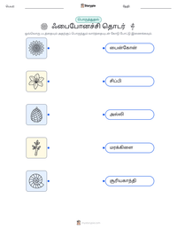ஃபைபோனச்சி தொடர் அச்சிடக்கூடிய வேலைப்பதிவின் முன்னோட்டம்