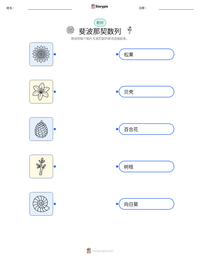 斐波那契数列 可打印工作表预览